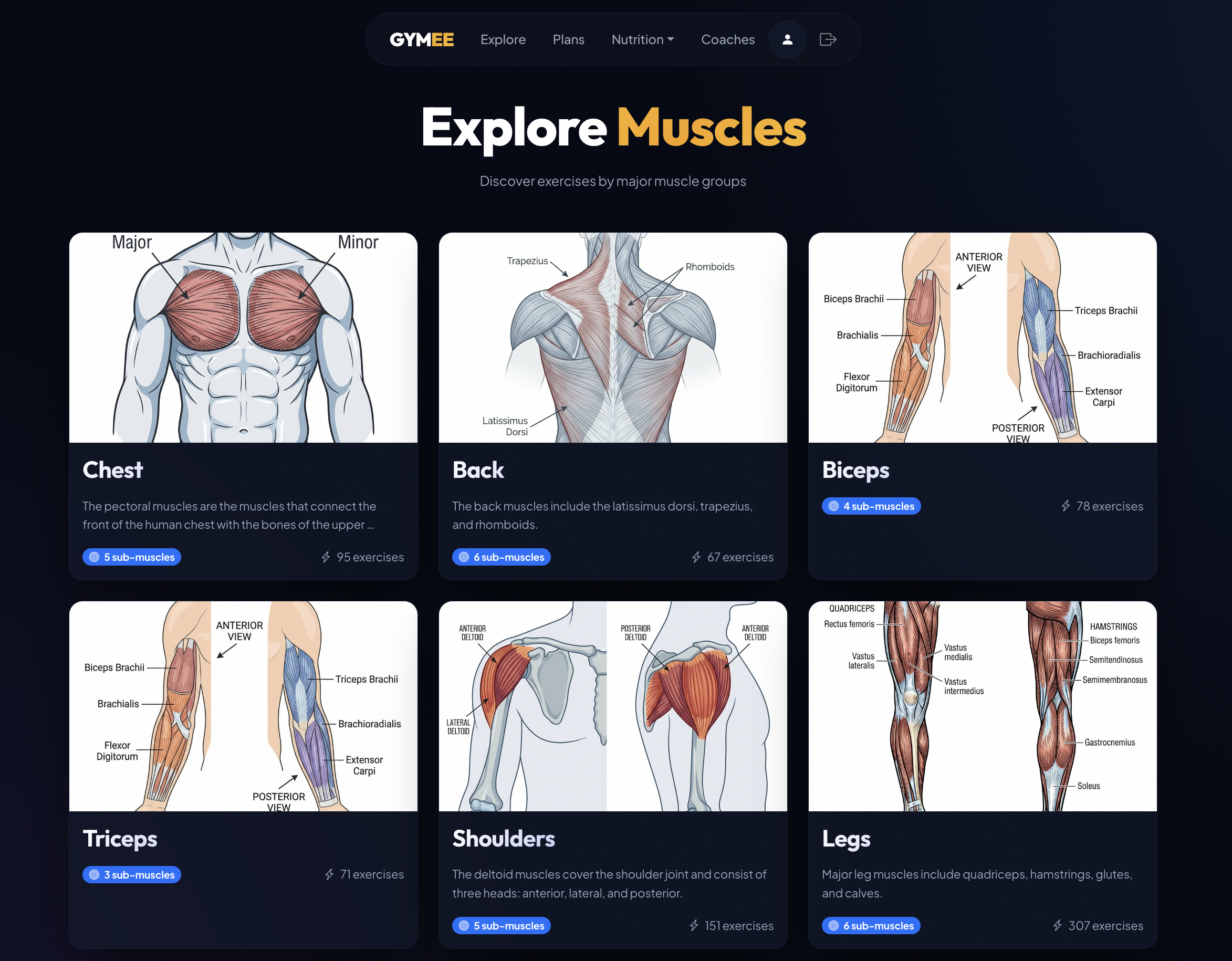 Gymee — Unified Fitness Intelligence Platform preview